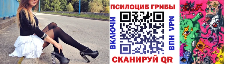 Псилоцибиновые грибы GOLDEN TEACHER Борисоглебск