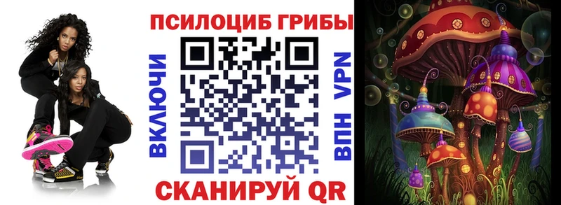 Купить где  Борисоглебск  Псилоцибиновые грибы Cubensis 